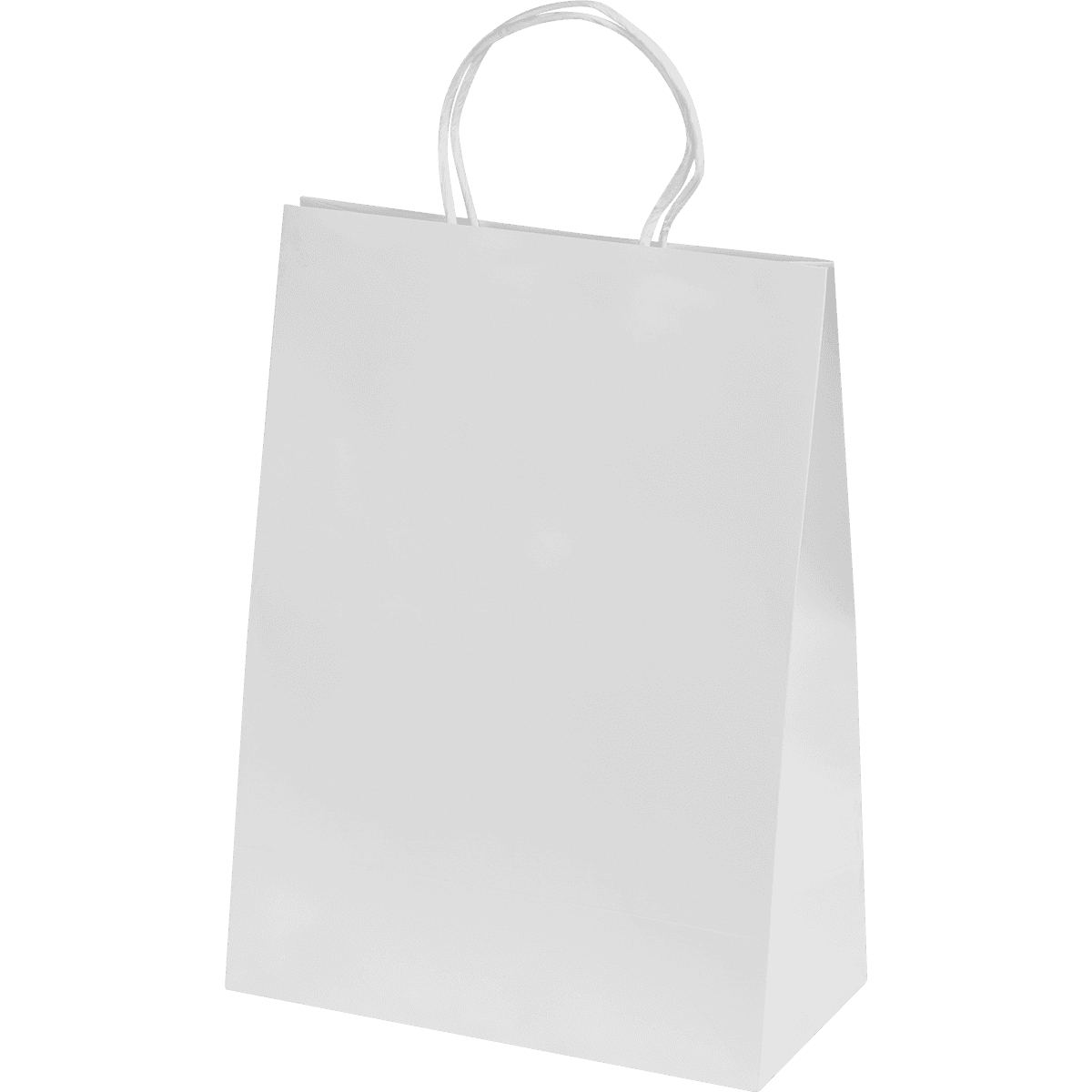 Bags (Ashdown Small Paper Gift) - White (300x220x110mm)