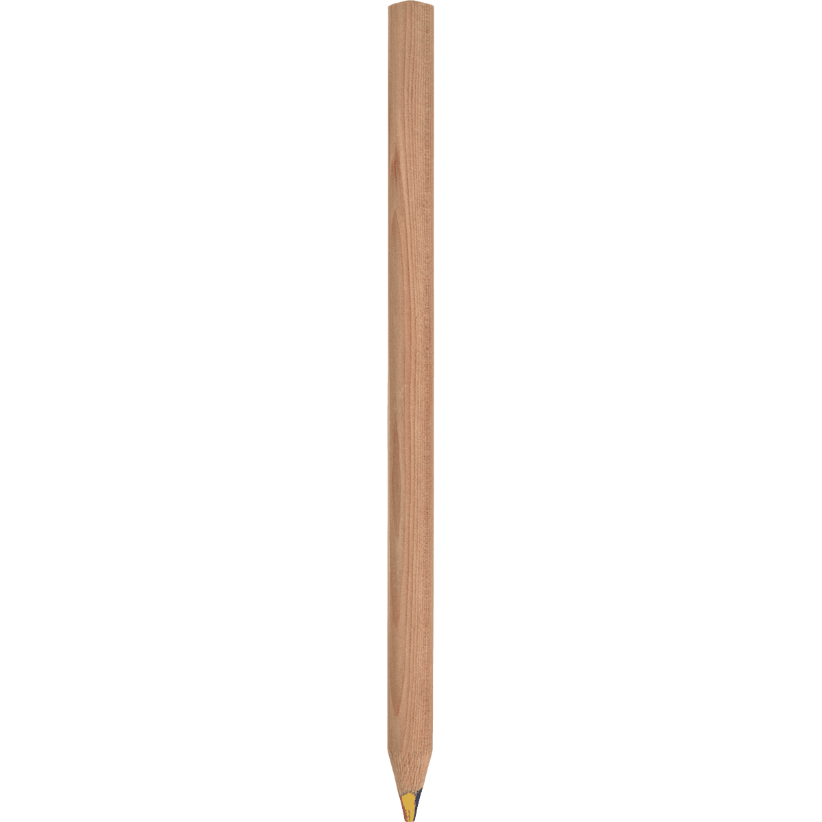 WP QUARTET  Wooden Colouring Pencil