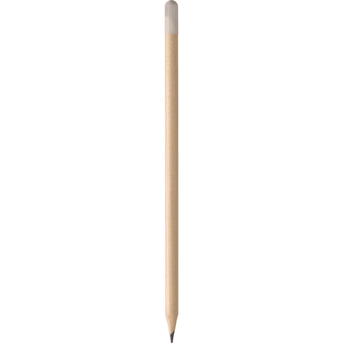 WP - Poppy Pencil